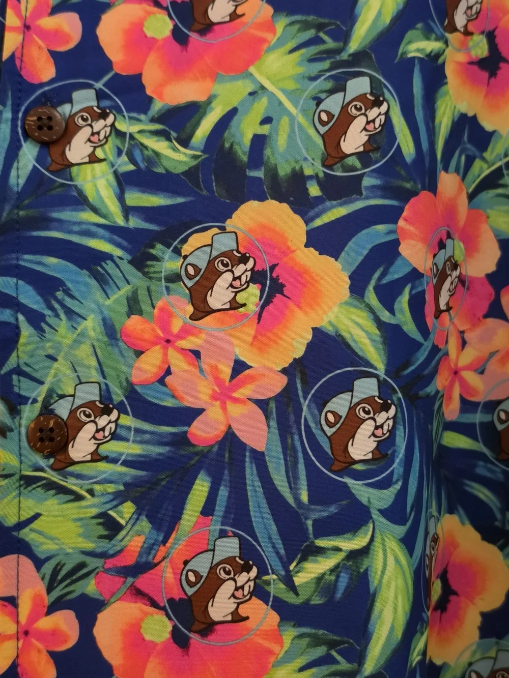 Buccees Tropical Floral Button-Up Shirt and Swim Trunks